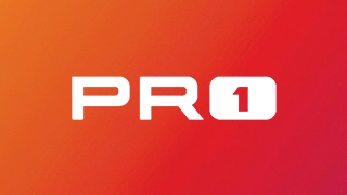 PRO1